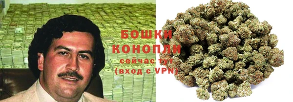 СК Аркадак