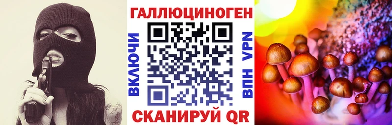 купить закладку  darknet как зайти  Псилоцибиновые грибы Psilocybe  Рыбное 