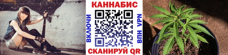 что такое наркотик  Рыбное  Конопля сатива 